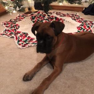 Meet your Posher, Ash